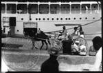 Caronia: Cunard Steam Ship Company, image 29 by Bern Keating
