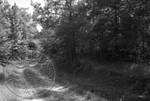 Civil War Sites: Champion's Hill Battlefield, image 1 by Bern Keating