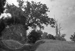 Civil War Sites: Champion's Hill Battlefield, image 2 by Bern Keating