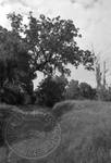 Civil War Sites: Champion's Hill Battlefield, image 3 by Bern Keating