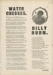 Dilly Burn by Author Unknown