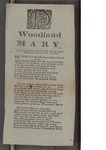 Woodland Mary by Author Unknown