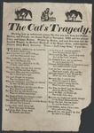 The Cat's Tragedy by Author Unknown