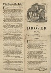 The Drover Boy