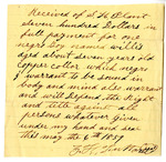 Bill of Sale of an Enslaved Person Named Willis by S. H. Plant