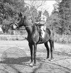 William Faulkner seated on horse at Rowan Oak: Image 2 by Edwin E. Meek