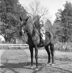 William Faulkner seated on horse at Rowan Oak: Image 5 by Edwin E. Meek