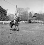 William Faulkner on trotting horse at Rowan Oak: Image 3 by Edwin E. Meek