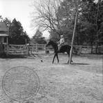 William Faulkner on trotting horse at Rowan Oak: Image 6 by Edwin E. Meek