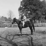 William Faulkner seated on horse at Rowan Oak: Image 8 by Edwin E. Meek