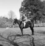 William Faulkner seated on horse at Rowan Oak: Image 11 by Edwin E. Meek