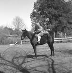 William Faulkner seated on horse at Rowan Oak: Image 12 by Edwin E. Meek