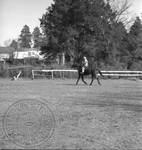 William Faulkner on trotting horse at Rowan Oak: Image 9 by Edwin E. Meek