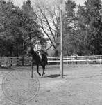 William Faulkner on trotting horse at Rowan Oak: Image 10 by Edwin E. Meek