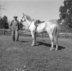 William Faulkner and horse at Rowan Oak by Edwin E. Meek