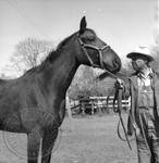Andrew Price standing with Faulkner's horse at Rowan Oak: Image 4 by Edwin E. Meek
