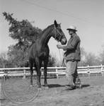 Andrew Price standing with Faulkner's horse at Rowan Oak: Image 10 by Edwin E. Meek