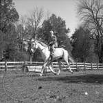 William Faulkner riding a horse at Rowan Oak: Image 2 by Edwin E. Meek