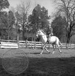William Faulkner riding a horse at Rowan Oak: Image 3 by Edwin E. Meek