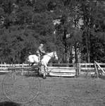 William Faulkner jumping a horse at Rowan Oak: Image 3 by Edwin E. Meek