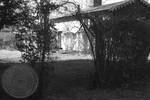 Exterior grounds at Rowan Oak by Edwin E. Meek