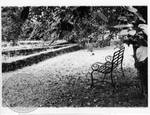 View of garden bench and formal garden at Rowan Oak: Image 1 by Edwin E. Meek