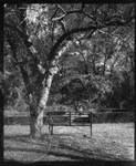 View of garden bench and formal garden at Rowan Oak: Image 2 by Edwin E. Meek