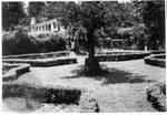 View of formal garden with Rowan Oak in background by Edwin E. Meek