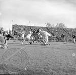 University of Missisippi football game: Image 5 by Edwin E. Meek