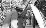 White man pulling fish out of cooler with African American man by Edwin E. Meek