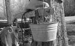 Bucket and other fishing gear by Edwin E. Meek