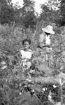 African American child in cotton field with African American woman picking cotton in background by Edwin E. Meek