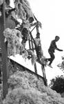 Two white boys standing on cotton building rigging, African American boy jumping off by Edwin E. Meek