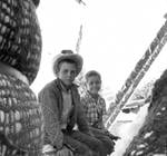 Two white boys on top of a bale of cotton by Edwin E. Meek