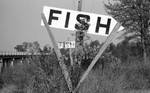Fish sign: Image 3 by Edwin E. Meek