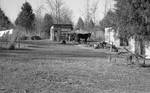 Mule and barn: Image 4 by Edwin E. Meek