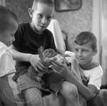Young boys playing with pet squirrel: Image 2 by Edwin E. Meek