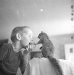 Young boy sharing apple with pet squirrel: Image 3 by Edwin E. Meek