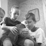 Young boys playing with pet squirrel: Image 1 by Edwin E. Meek