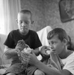 Young boys playing with pet squirrel: Image 2 by Edwin E. Meek