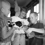 Young boys introducing pet squirrel to puppy: Image 3 by Edwin E. Meek