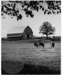 John Vaught Farm by Edwin E. Meek