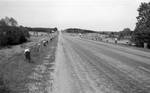 Road outside of Oxford, Mississippi: Image 10 by Edwin E. Meek