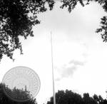 Empty flag pole stands in the Circle: Image 1 by Edwin E. Meek