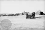 Military trucks at off-campus encampment: Image 1 by Edwin E. Meek