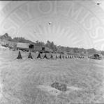 Row of National Guard tents in a field [Camp Ivanhoe]. by William T. Miles