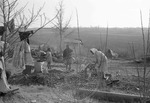 African Americans, rural home, image 002