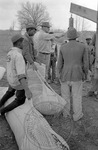 Cotton picking for Brown's Gin and Wholesale, image 023