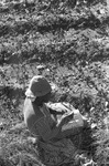 Cotton picking for Brown's Gin and Wholesale, image 098
