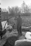 Cotton picking for Brown's Gin and Wholesale, image 089
